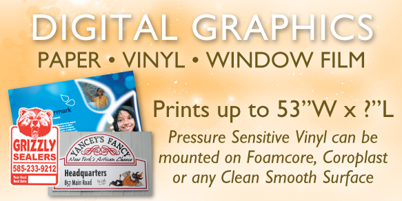 Digital Graphics